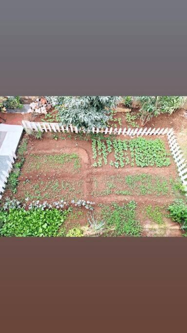 Saifarms Private Farmhouse Between Pune & Lonavala Nethersole Dam Buitenkant foto