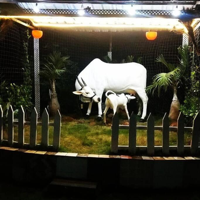 Saifarms Private Farmhouse Between Pune & Lonavala Nethersole Dam Buitenkant foto