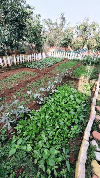 Saifarms Private Farmhouse Between Pune & Lonavala Nethersole Dam Buitenkant foto
