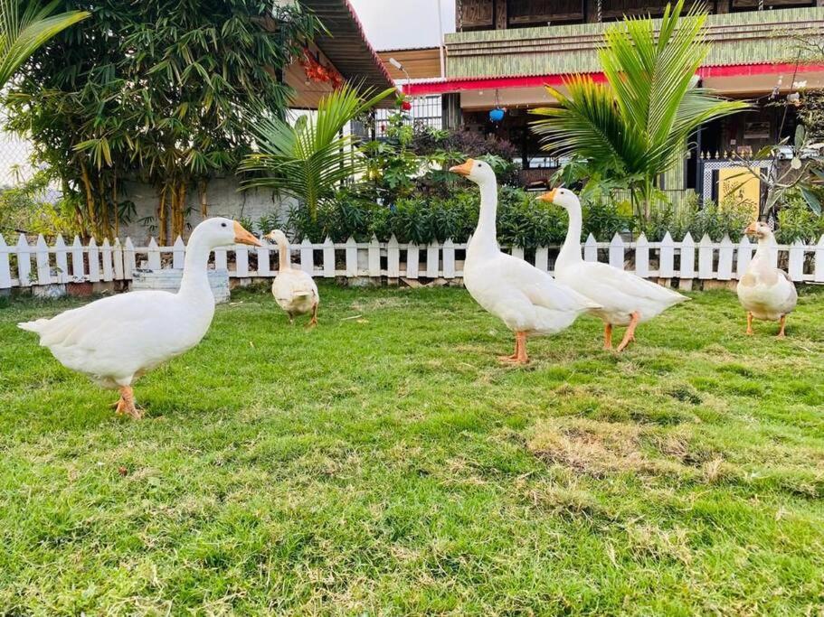 Saifarms Private Farmhouse Between Pune & Lonavala Nethersole Dam Buitenkant foto