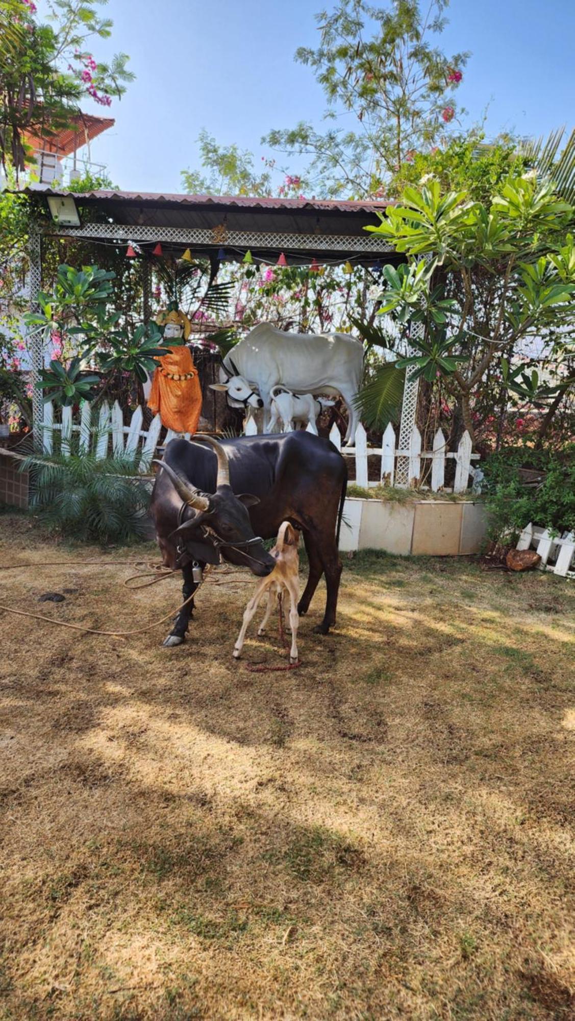 Saifarms Private Farmhouse Between Pune & Lonavala Nethersole Dam Buitenkant foto
